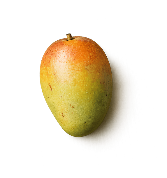 Alphonso Mango